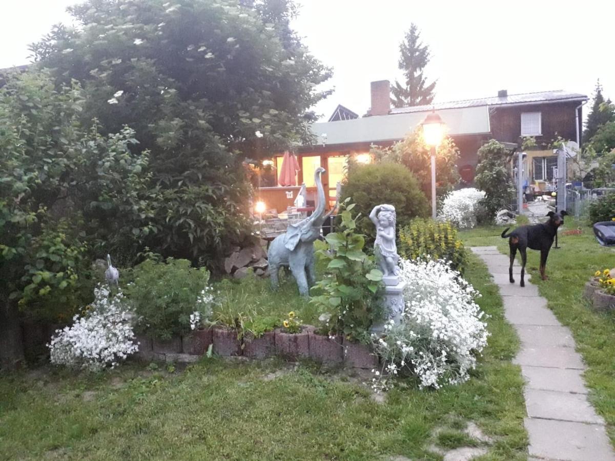 Ferienhaus Schulenberg Villa Friedrichsbrunn Buitenkant foto